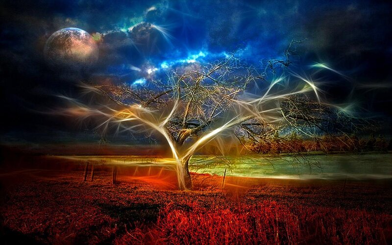 Tree with Glowing Branches