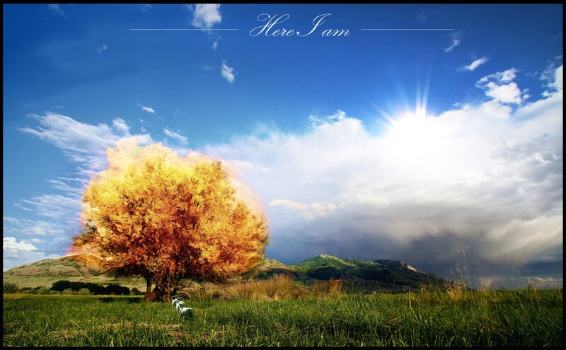 Tree with Glowing Leaves
