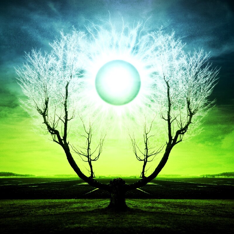 Tree with Glowing Orb — Green