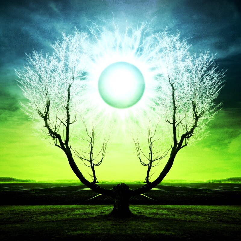 Tree with glowing orb