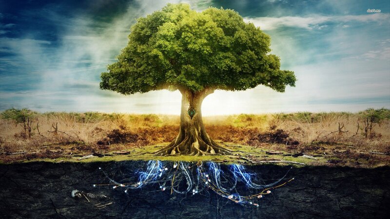 Tree with Glowing Roots — Green, Dramatic