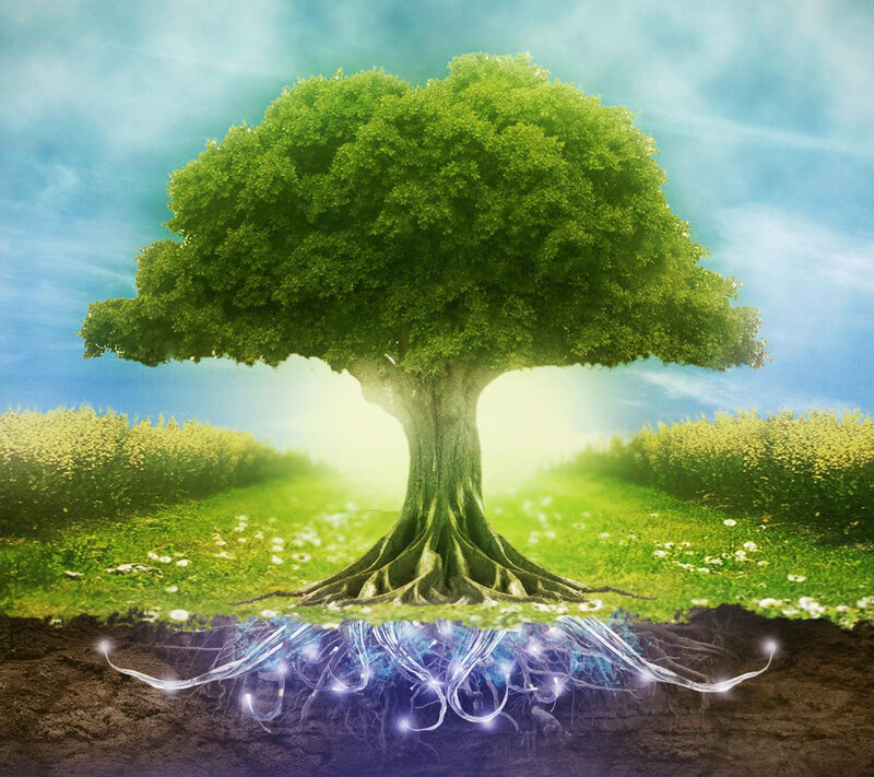 Tree with Glowing Roots — Green
