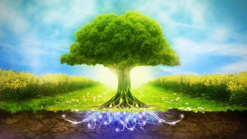 Tree with Glowing Roots