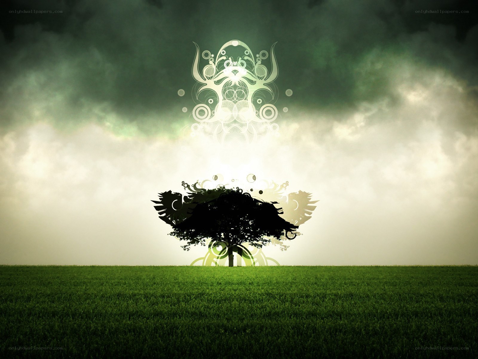 Tree with glowing symbol