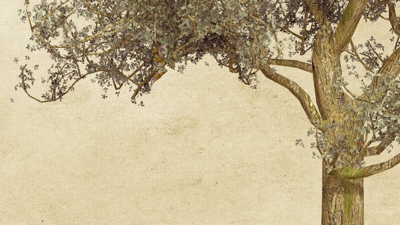 Tree with Gray Leaves — Beige