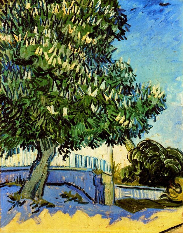 Tree with Green Leaves — Calm, Afternoon