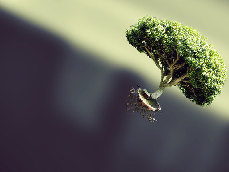 Tree with House on Root