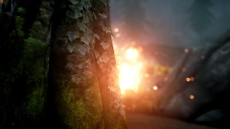 Tree with Ivy in Forest