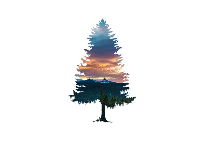 Tree with Landscape Inside