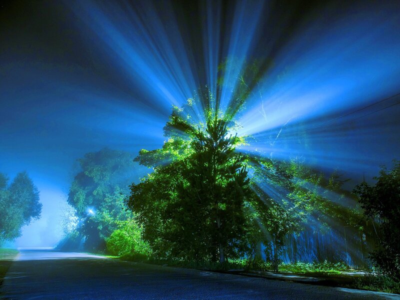 Tree with Light Beams — Blue, Dramatic