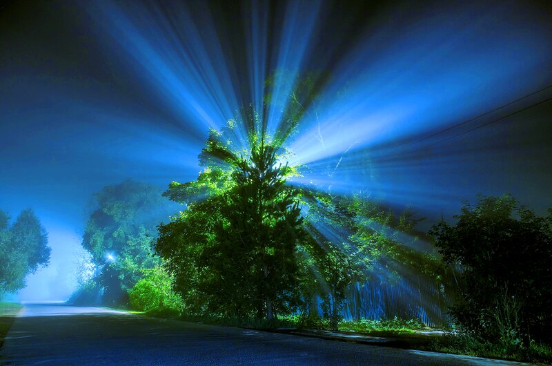 Tree with Light Beams