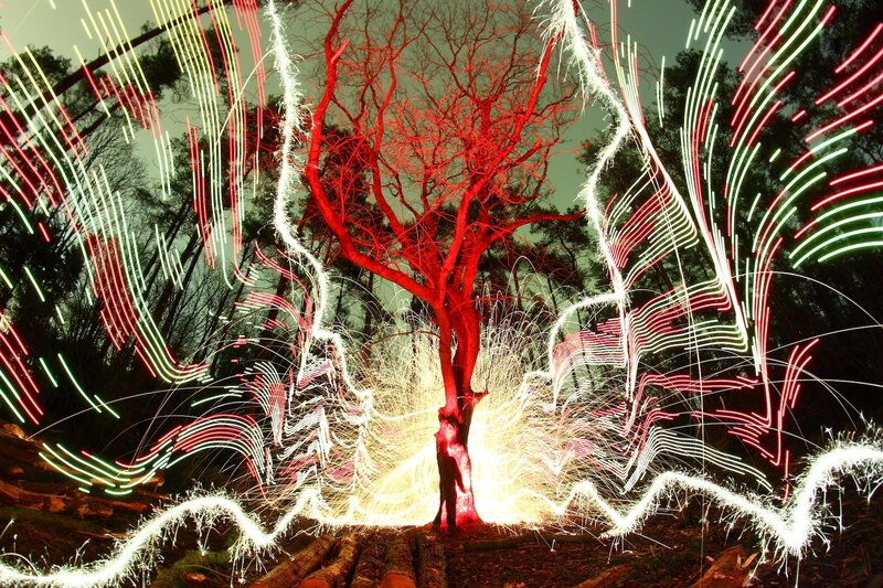Tree with Light Trails — Red