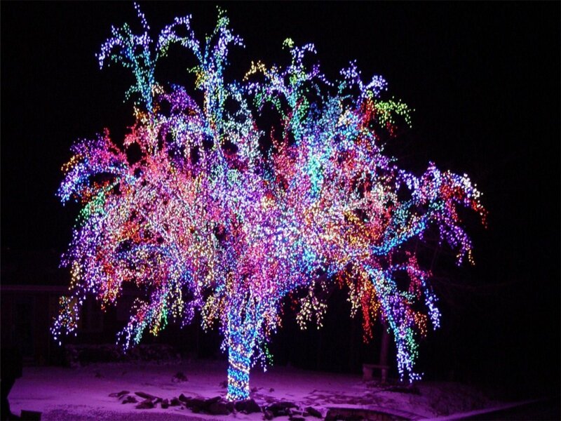 Tree with Lights — Purple, Festive