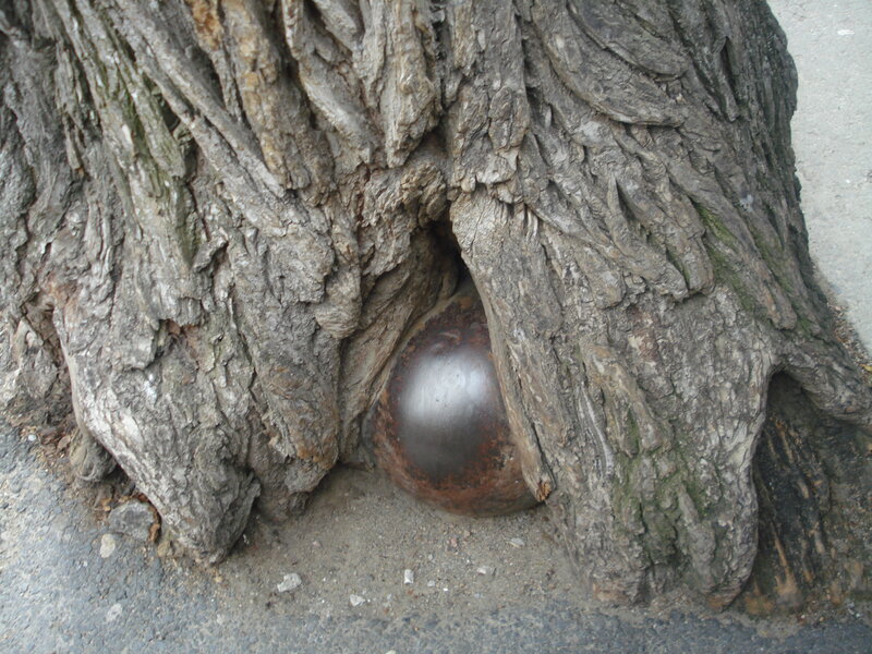 Tree with Metal Ball