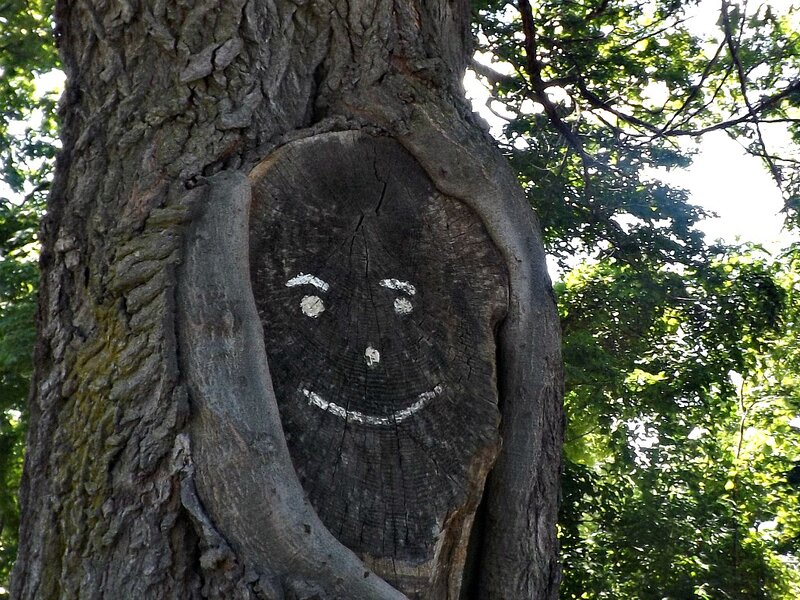 Tree with Painted Face