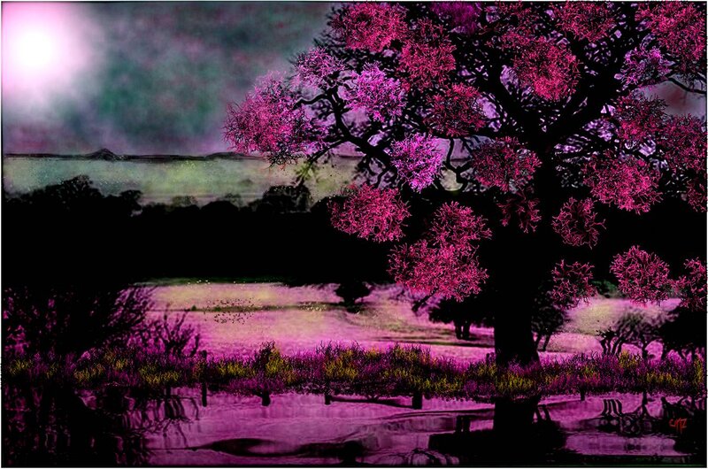 Tree with Purple Flowers — Dreamy