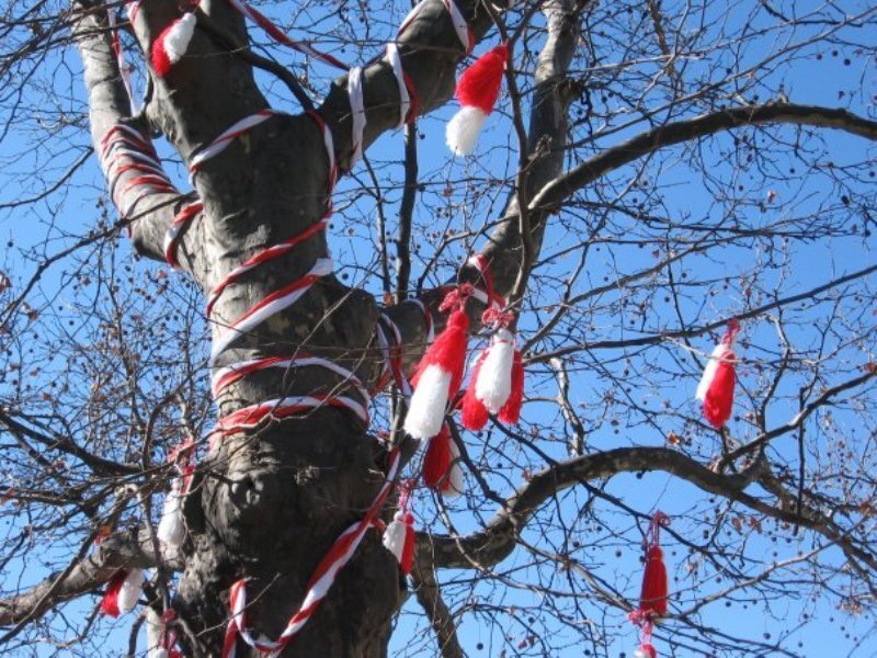 Tree with Red and White Ribbons