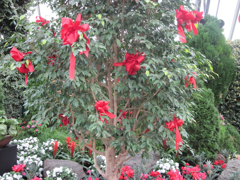 Tree with Red Bows