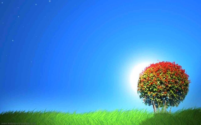 Tree with Red Leaves — Blue, Serene, Afternoon