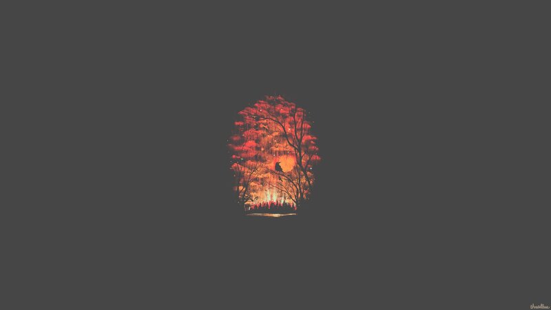 Tree with Red Leaves — Dramatic, Night