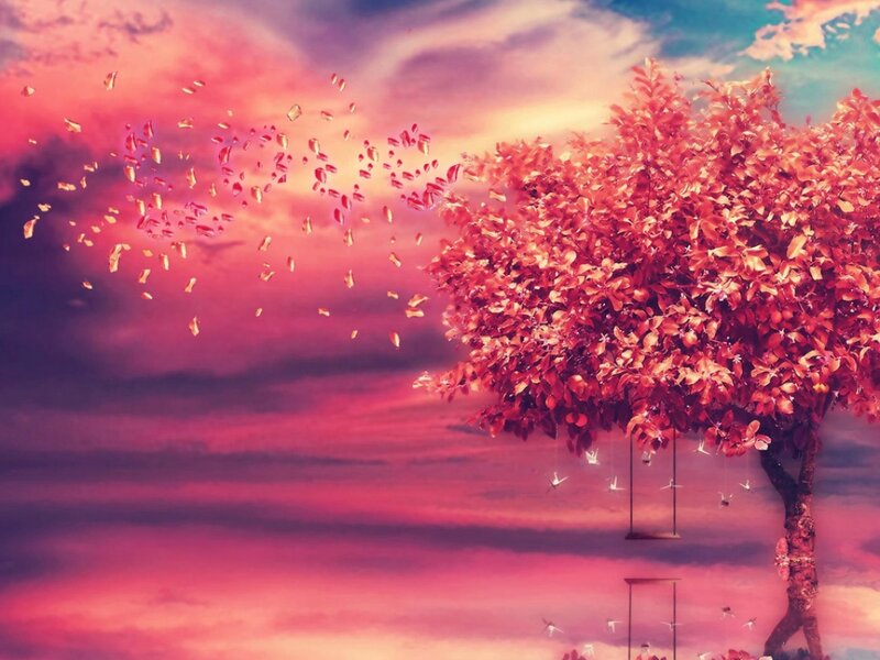 Tree with Red Leaves — Pink