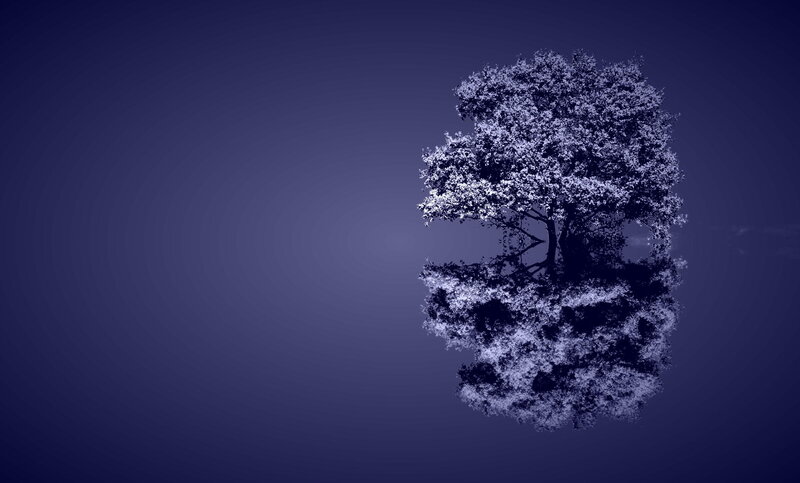 Tree with Reflection — Blue