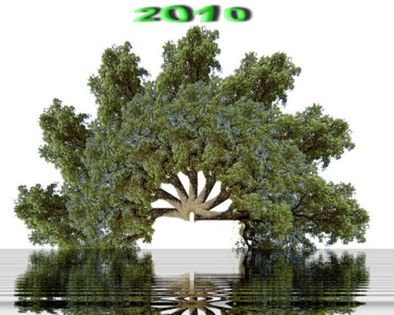 Tree with reflection in water