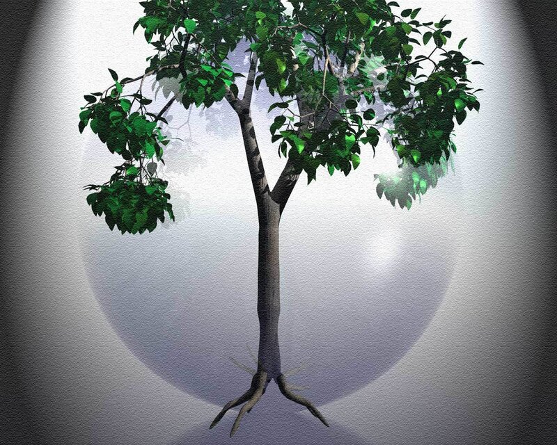tree with roots and leaves
