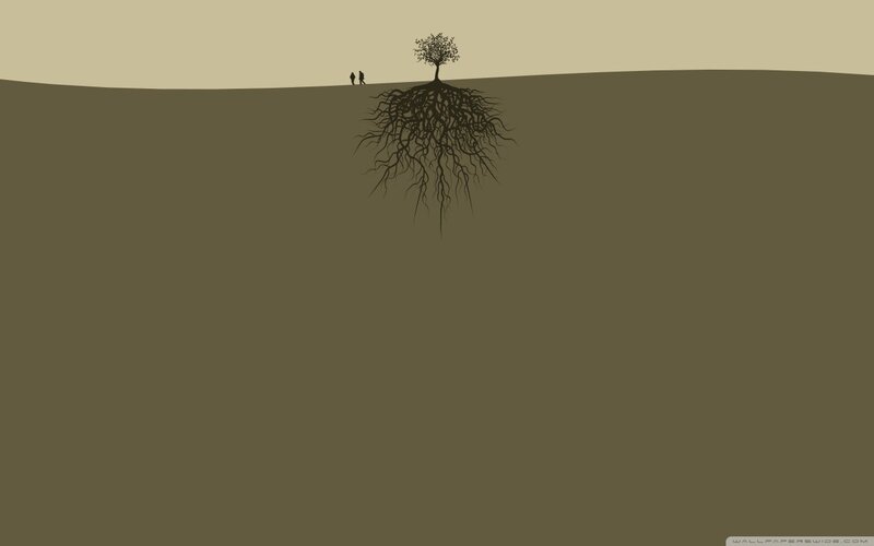 Tree with Roots Exposed