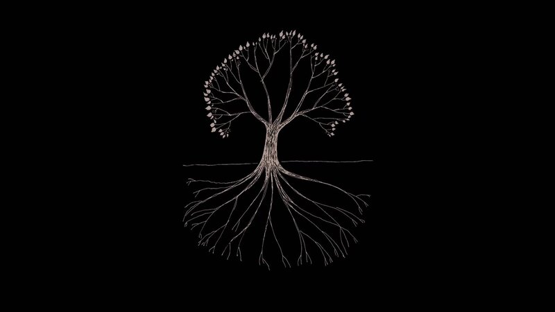 Tree with Roots