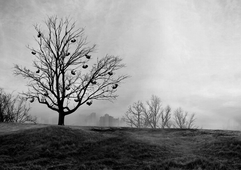Tree with Shoes in Branches