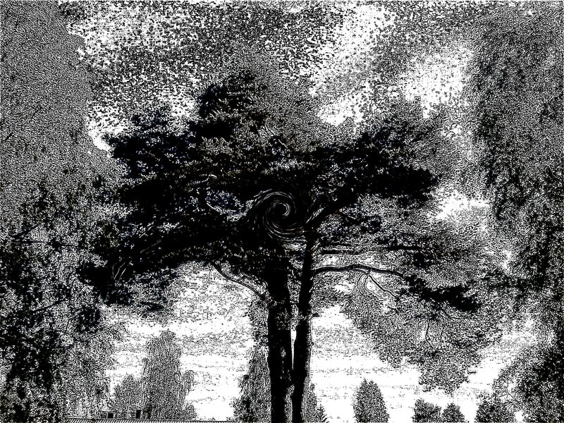 Tree with Spiral Effect