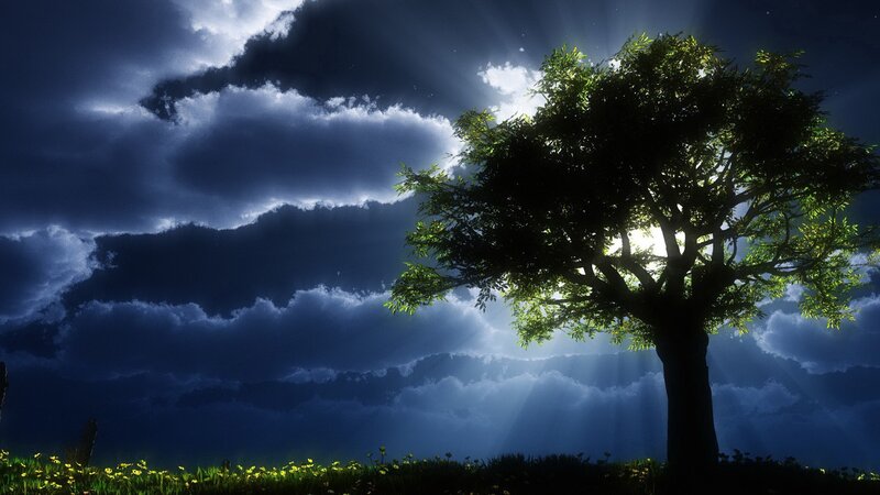 Tree with sunbeams through clouds