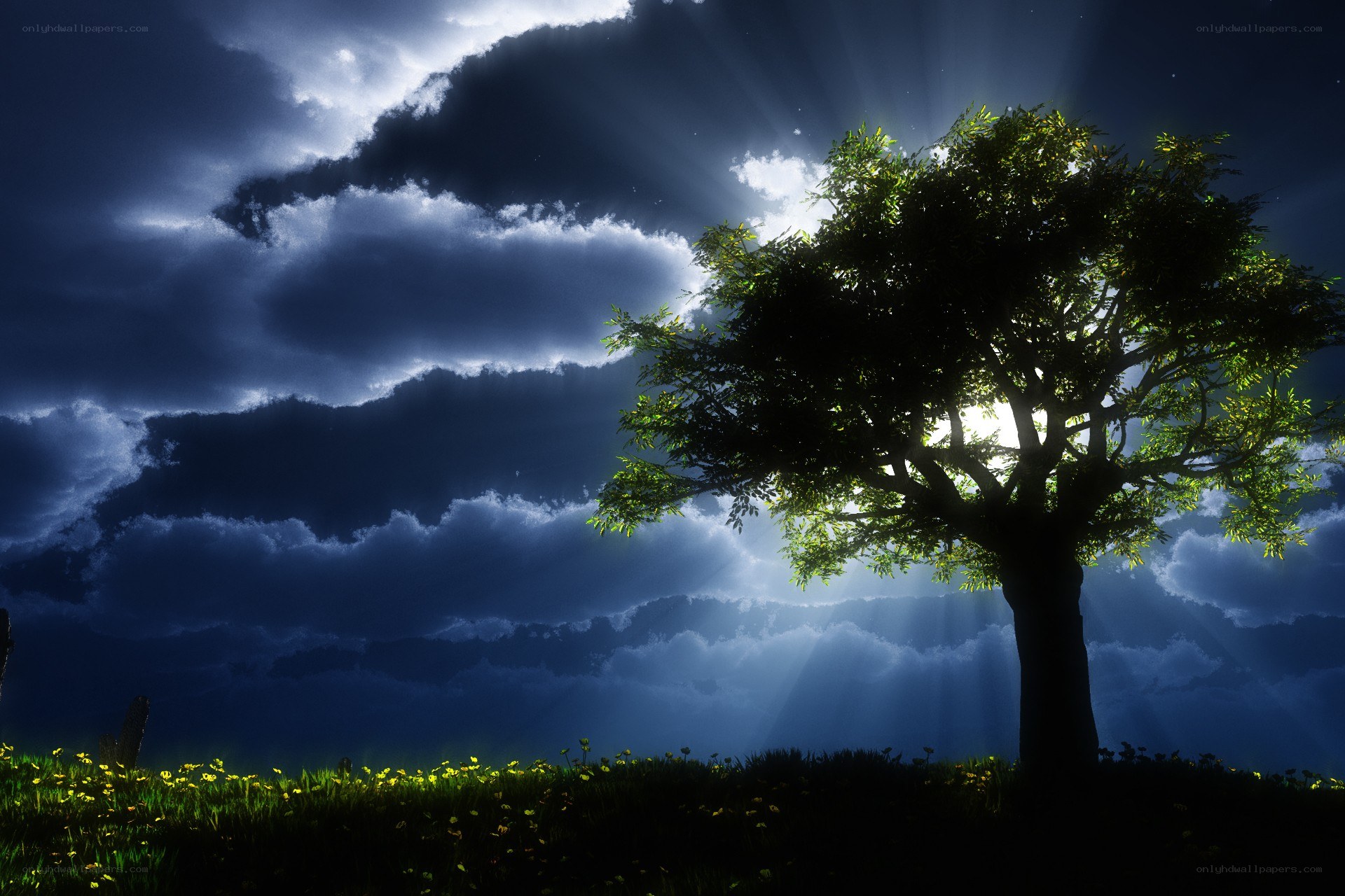 Tree with sunbeams through clouds