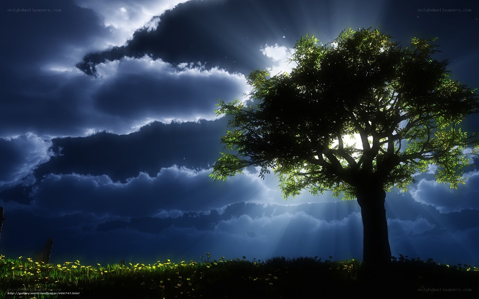 Tree with Sunbeams