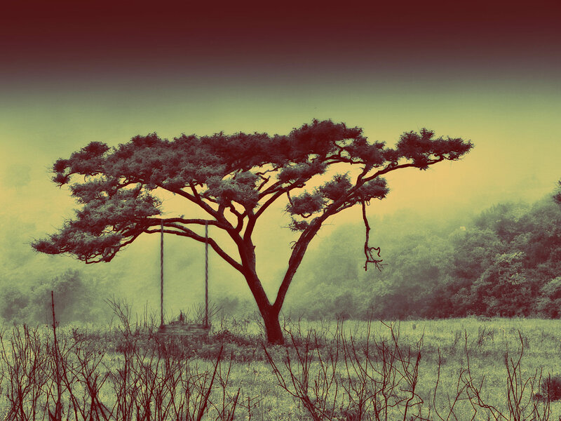 Tree with Swing — Green, Serene