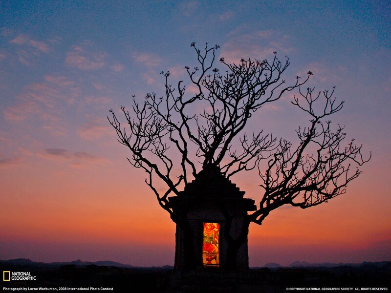 Tree with temple at sunset