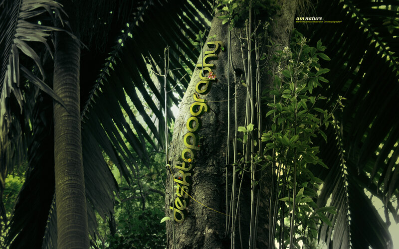 tree with text in jungle