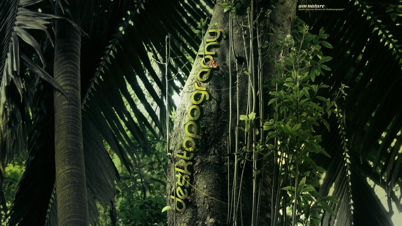 Tree with Text on Bark