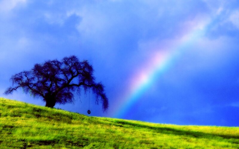 Tree with Tire Swing — Blue
