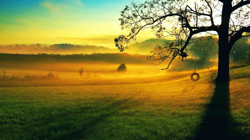Tree with Tire Swing — Green, Serene, Sunrise