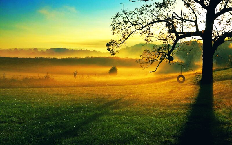 Tree with Tire Swing — Green, Serene