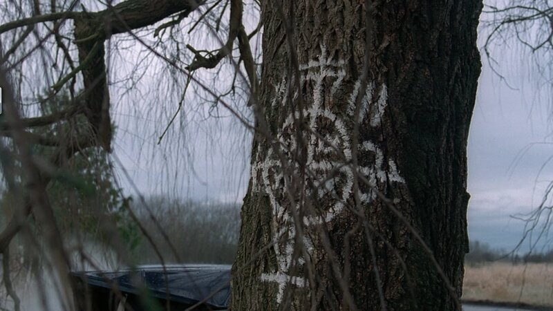 Tree with White Markings