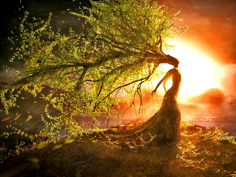 Tree Woman at Sunset