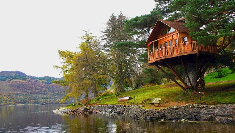 Treehouse by Lake