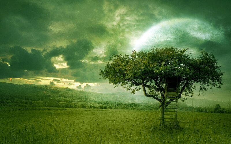 Treehouse in Field — Green, Dramatic