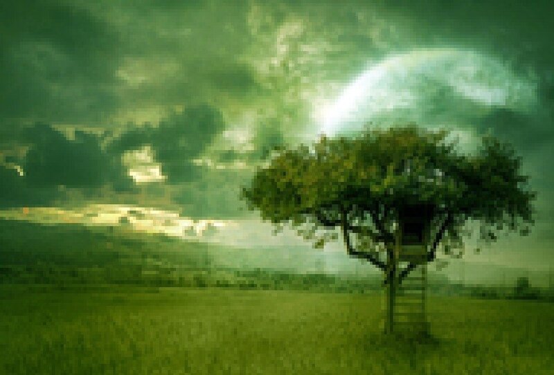Treehouse in Field