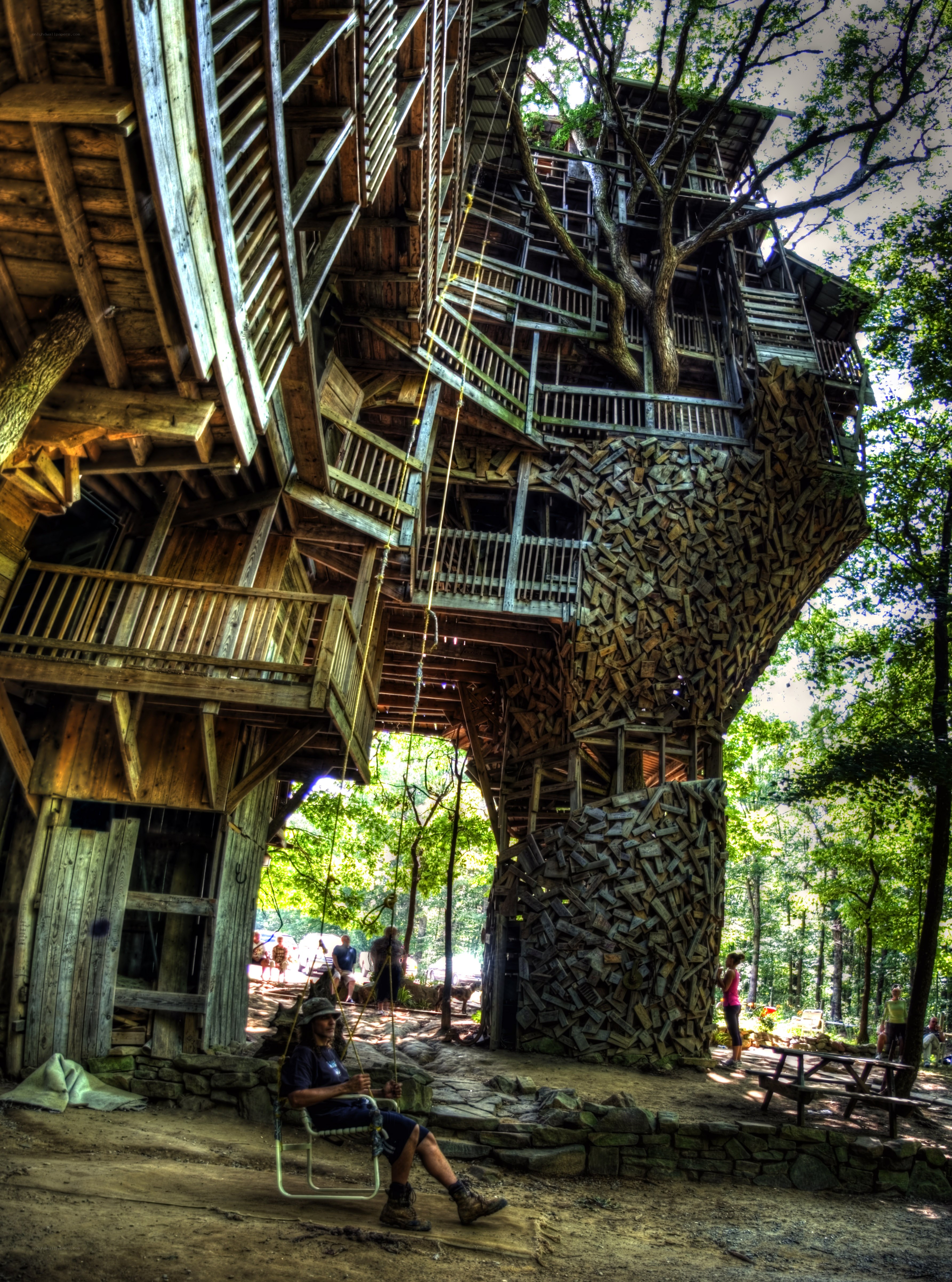 Treehouse in forest