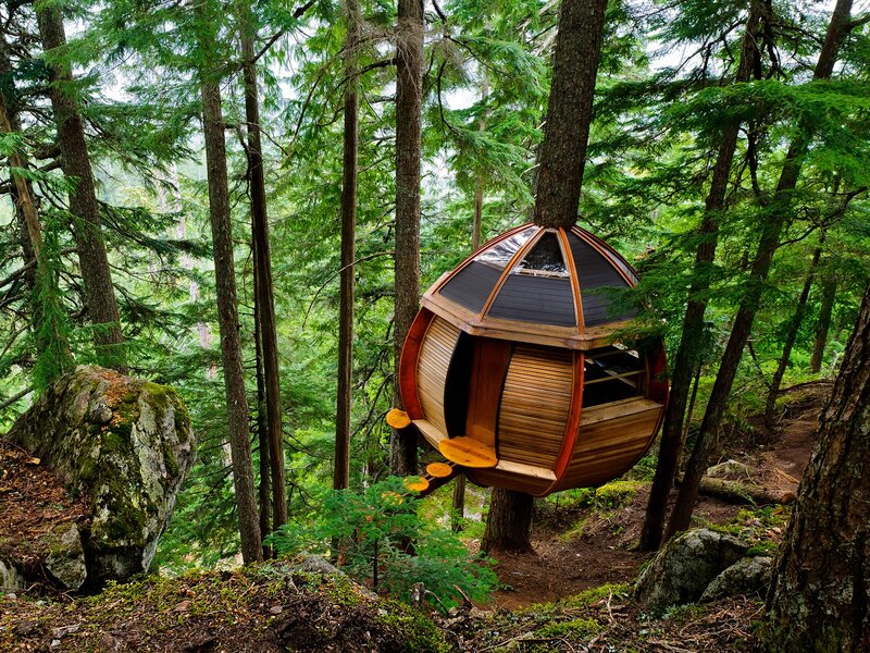 Treehouse in forest
