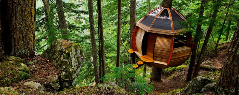 treehouse in forest